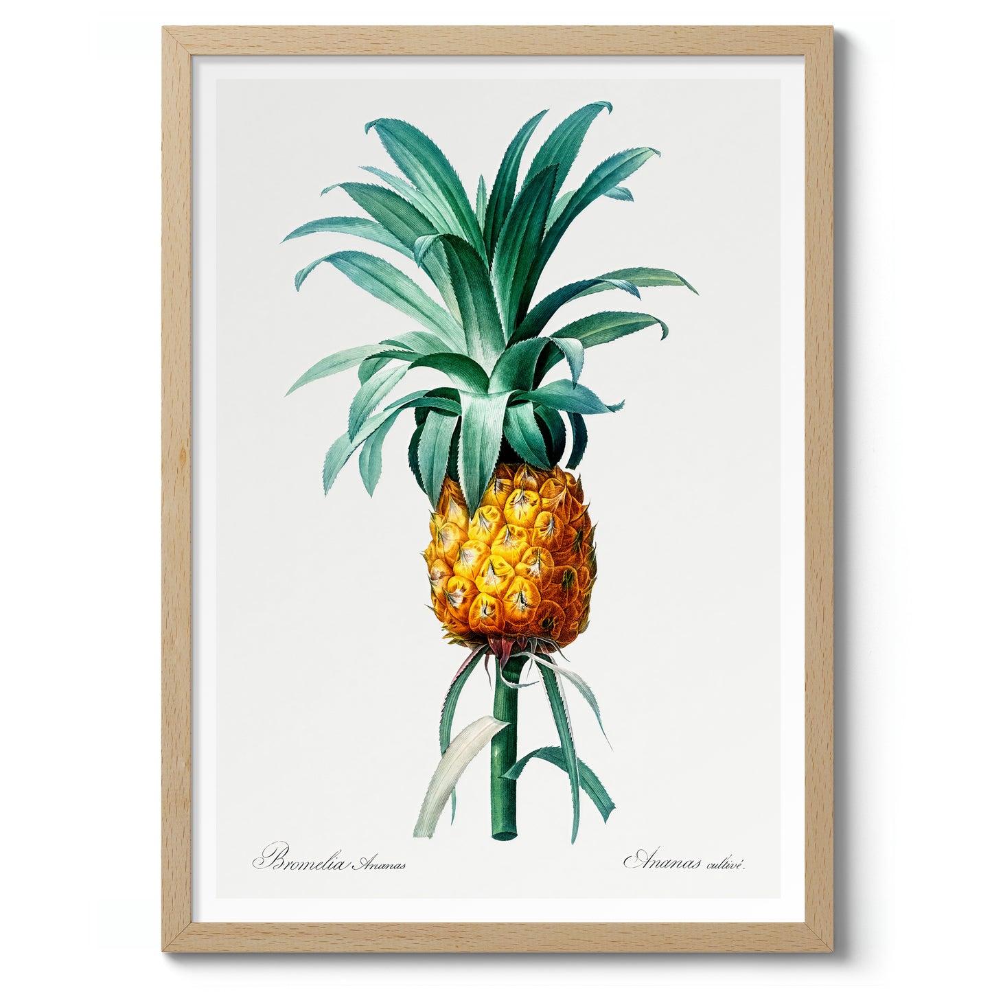 Ananas
