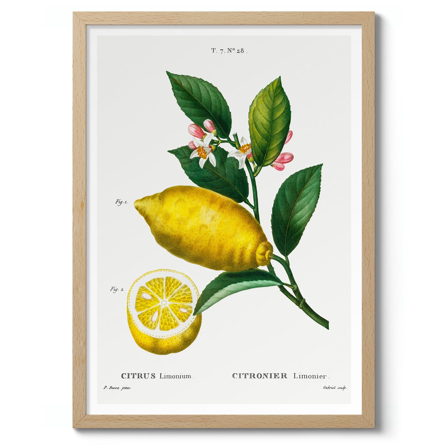 En förstorad citron