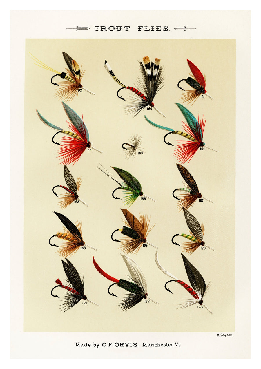Mouches à truite - Print Only frame