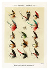 Trout Flies print