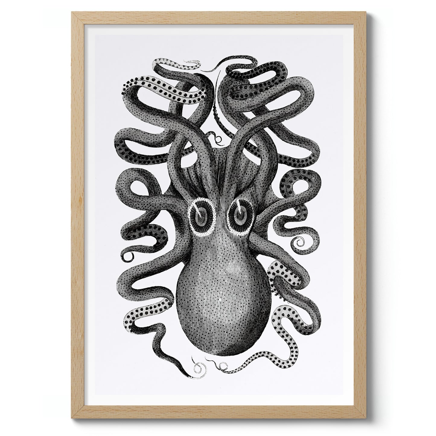 Rückansicht eines achtarmigen Tintenfischs