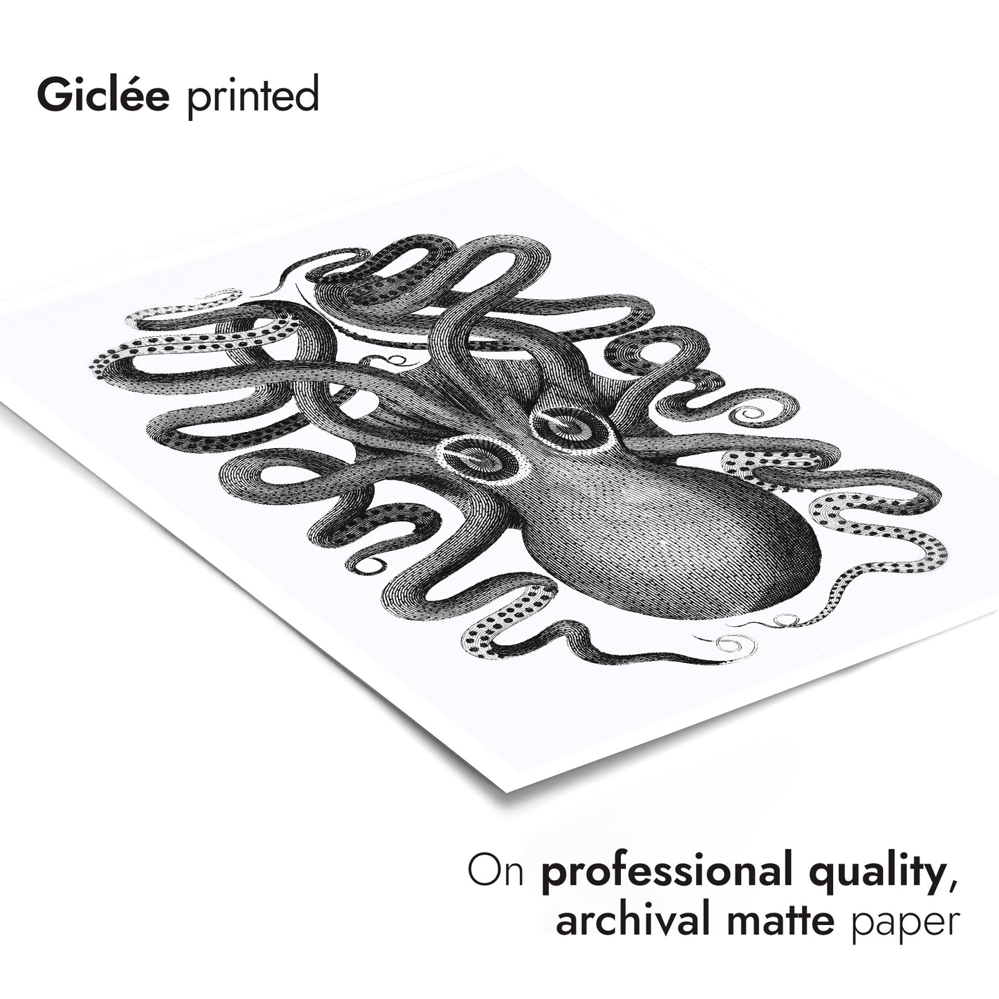 Rückansicht eines achtarmigen Tintenfischs