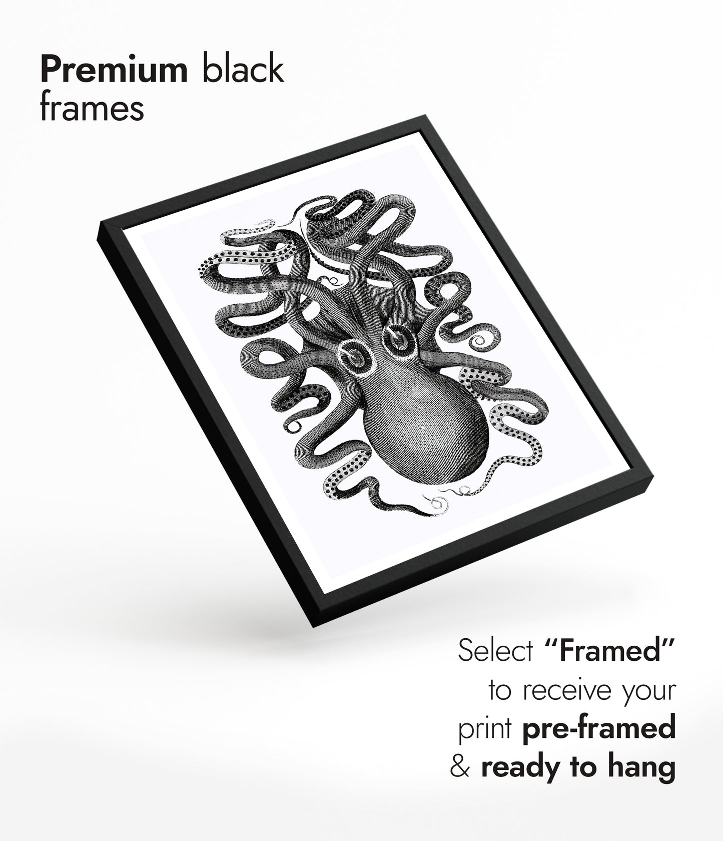 Rückansicht eines achtarmigen Tintenfischs