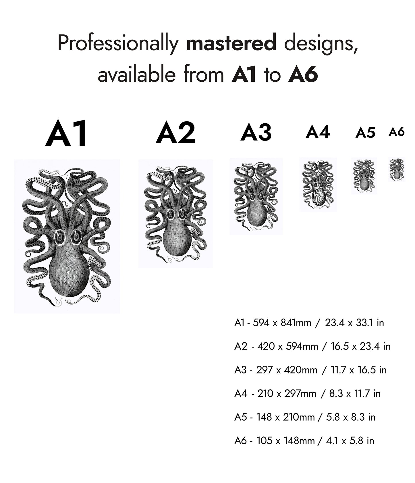 Rückansicht eines achtarmigen Tintenfischs