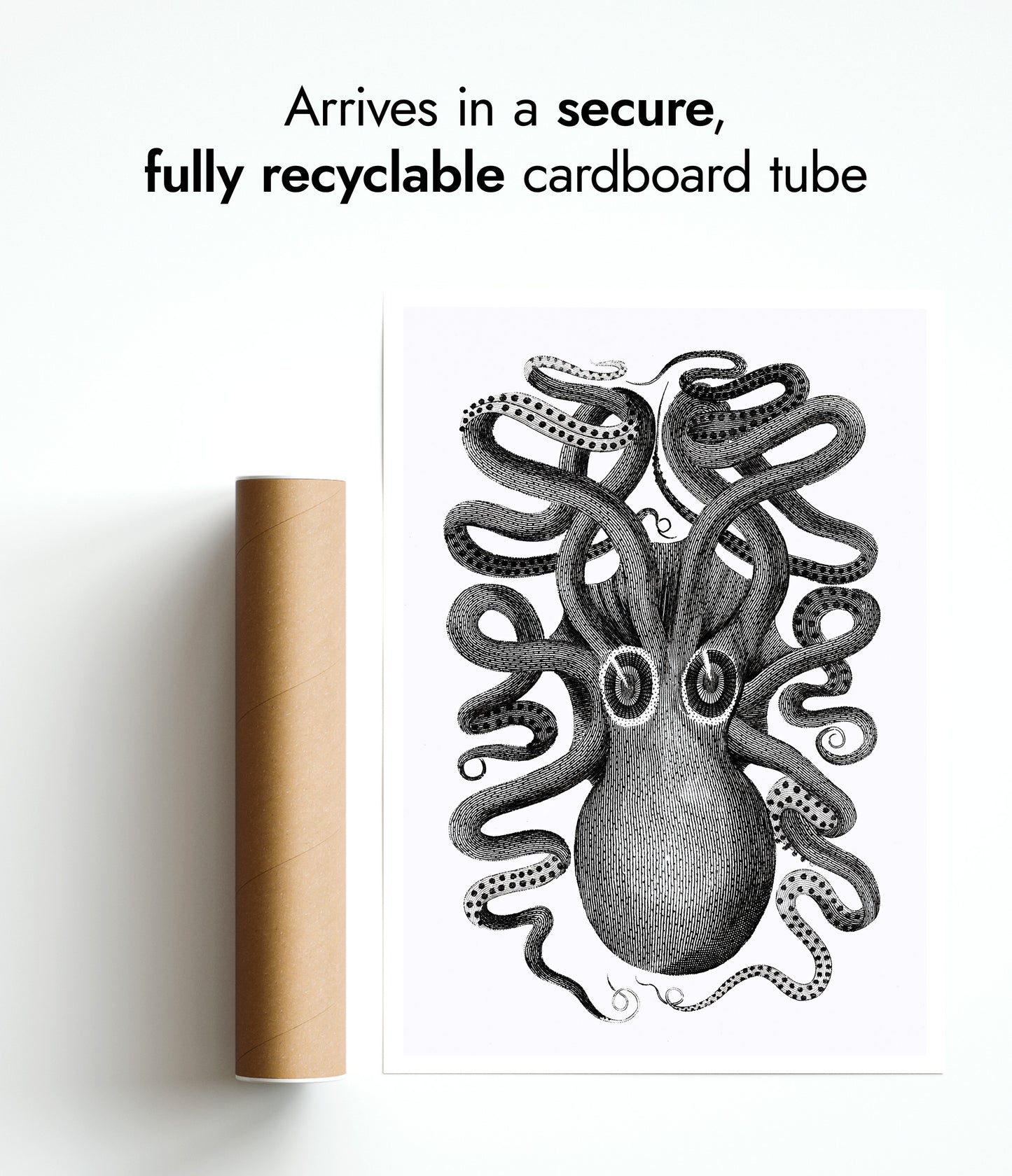 Rückansicht eines achtarmigen Tintenfischs