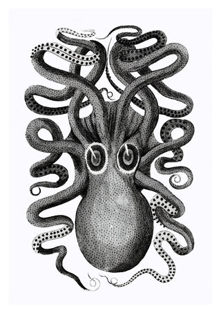 Rückansicht eines achtarmigen Tintenfischs print