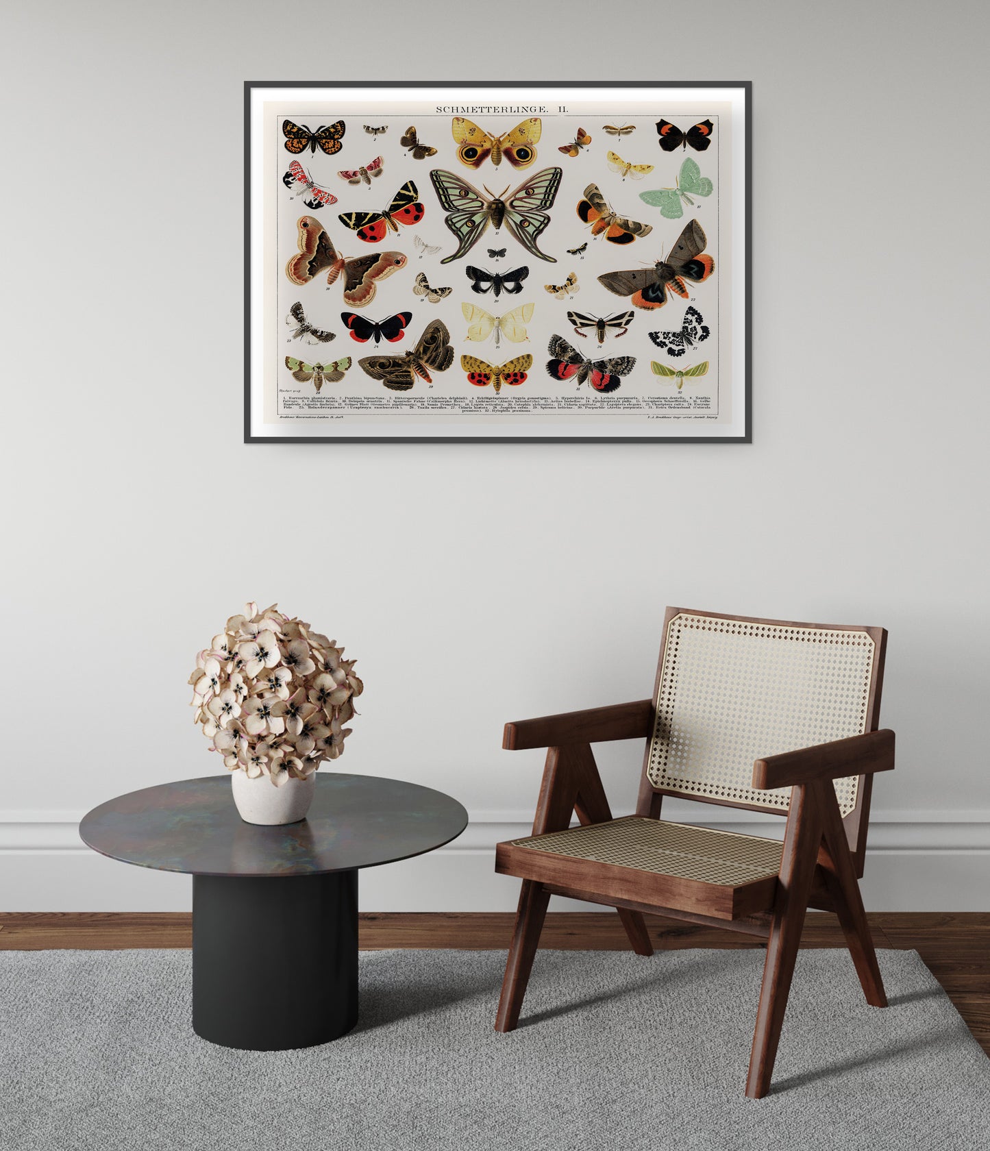 Lithographie antique de papillon et de mite