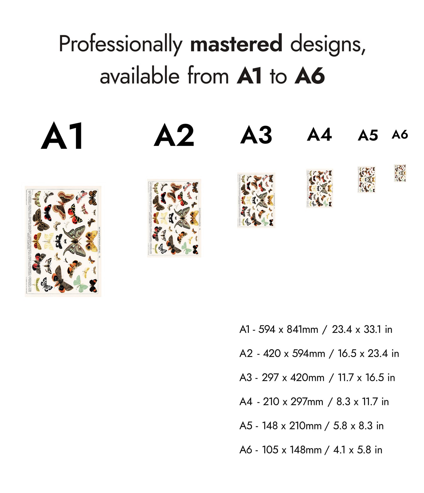Lithographie antique de papillon et de mite