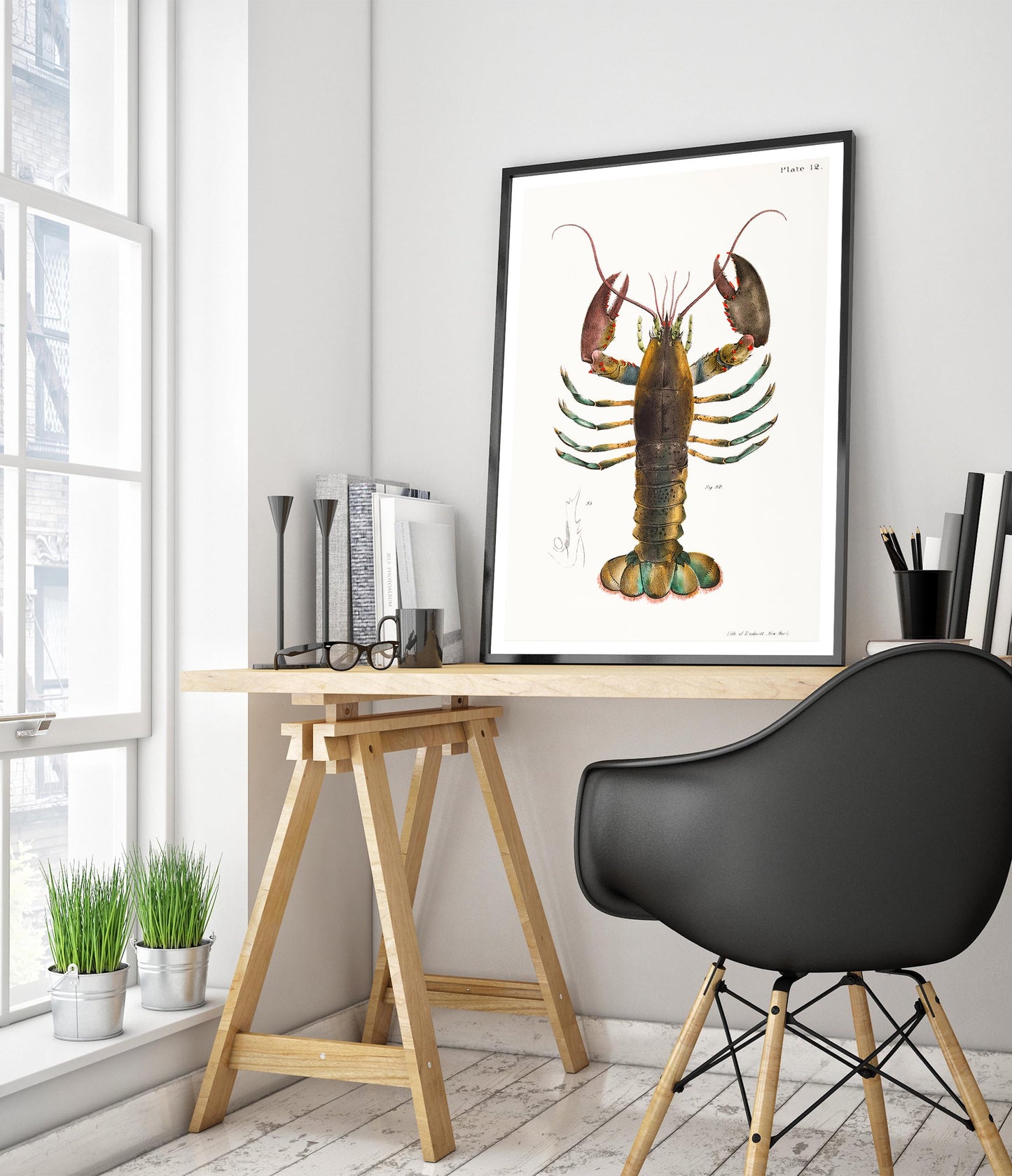 Homard américain (Homarus Americanus)