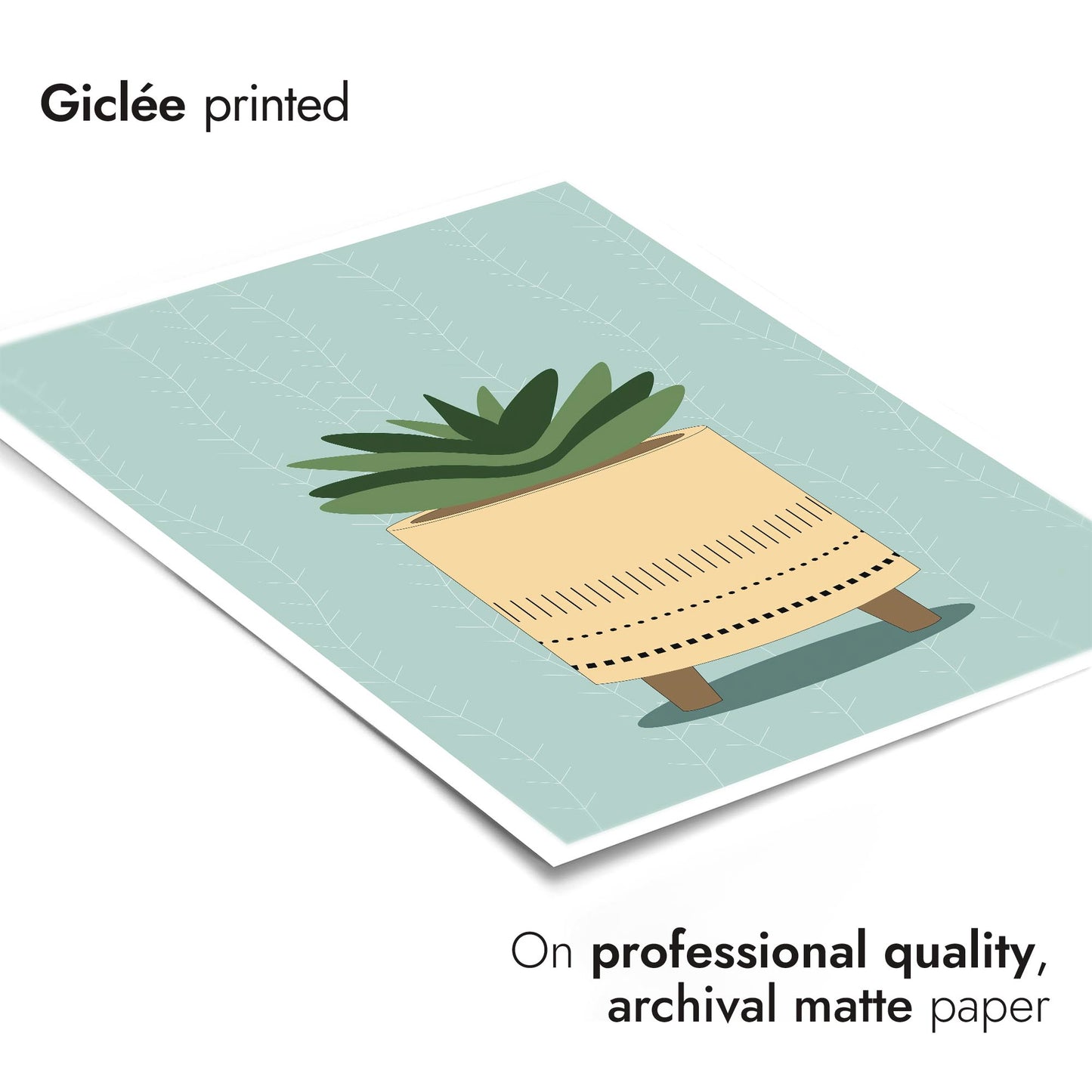 Stachelige Sukkulente