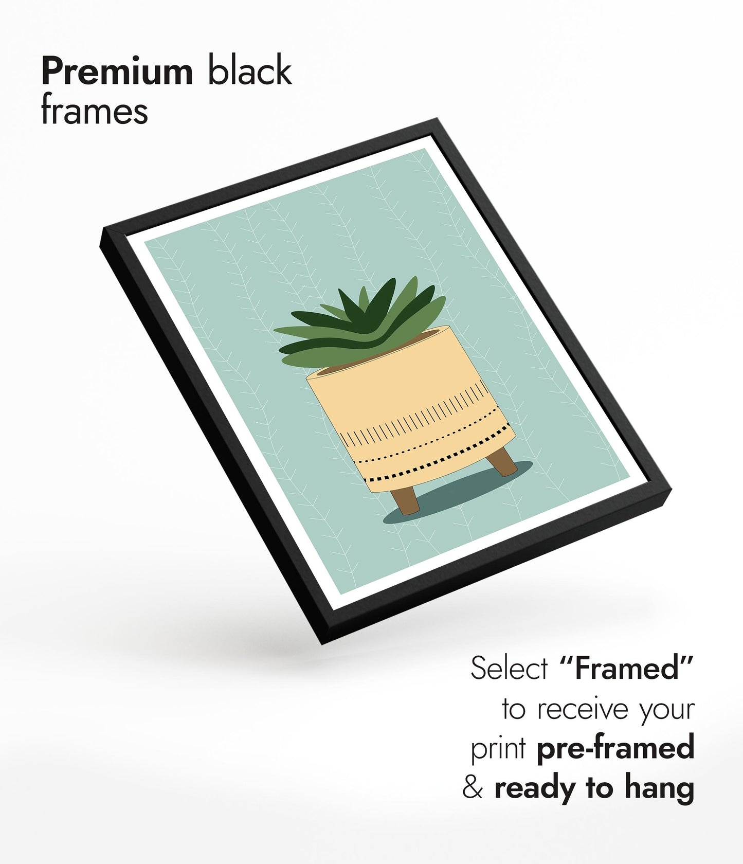 Stachelige Sukkulente