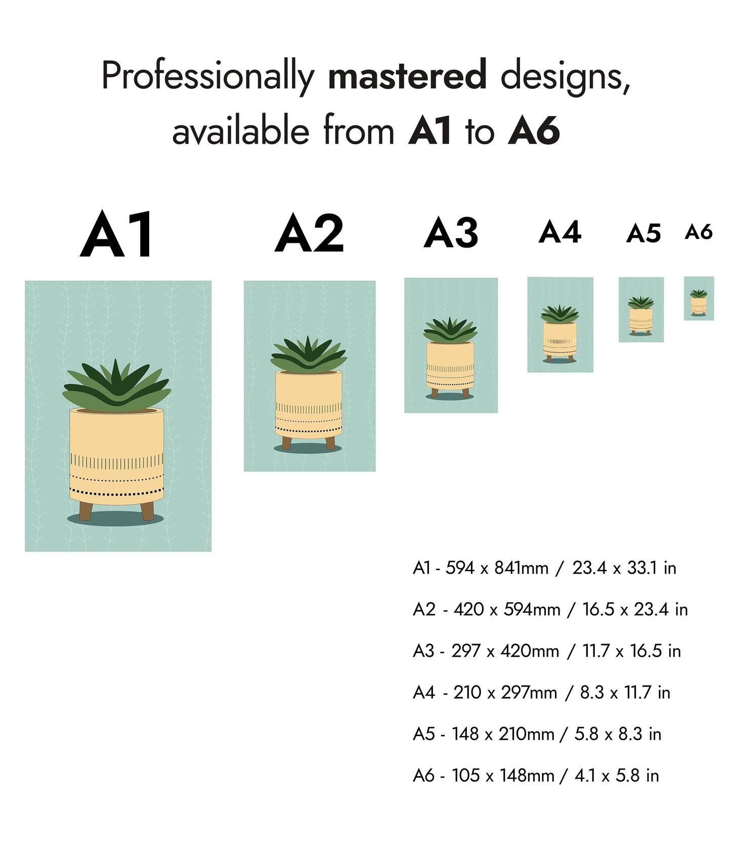 Stachelige Sukkulente