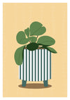 Chinese Money Plant print