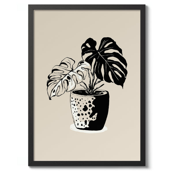 Potted Monstera