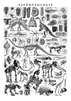 Paléontologie print