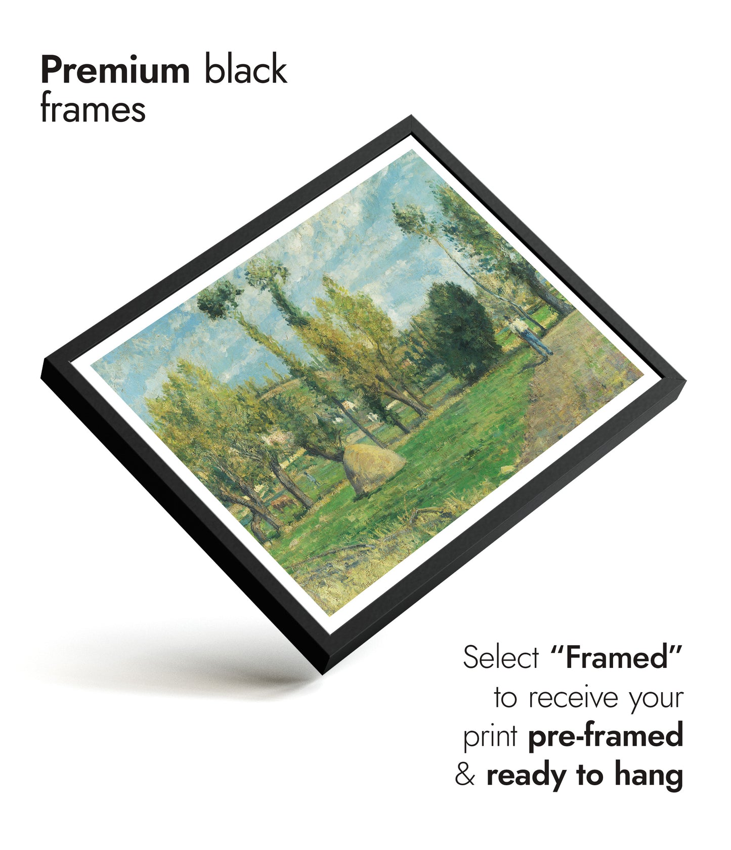 Prairies du Valhermeil près Pontoise