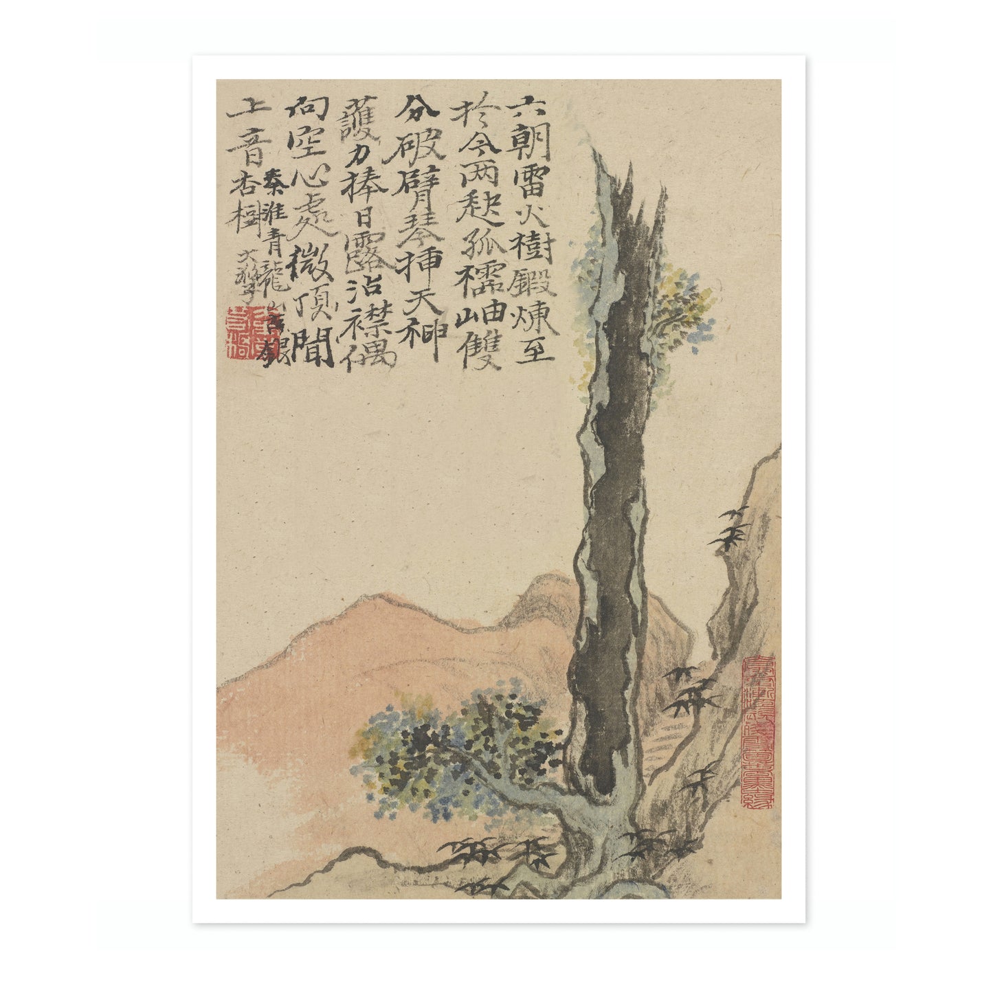 Old Gingko at Mt. Chinglong