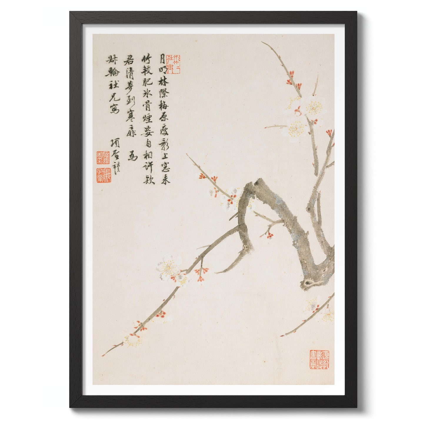 Blommande plommonblomma