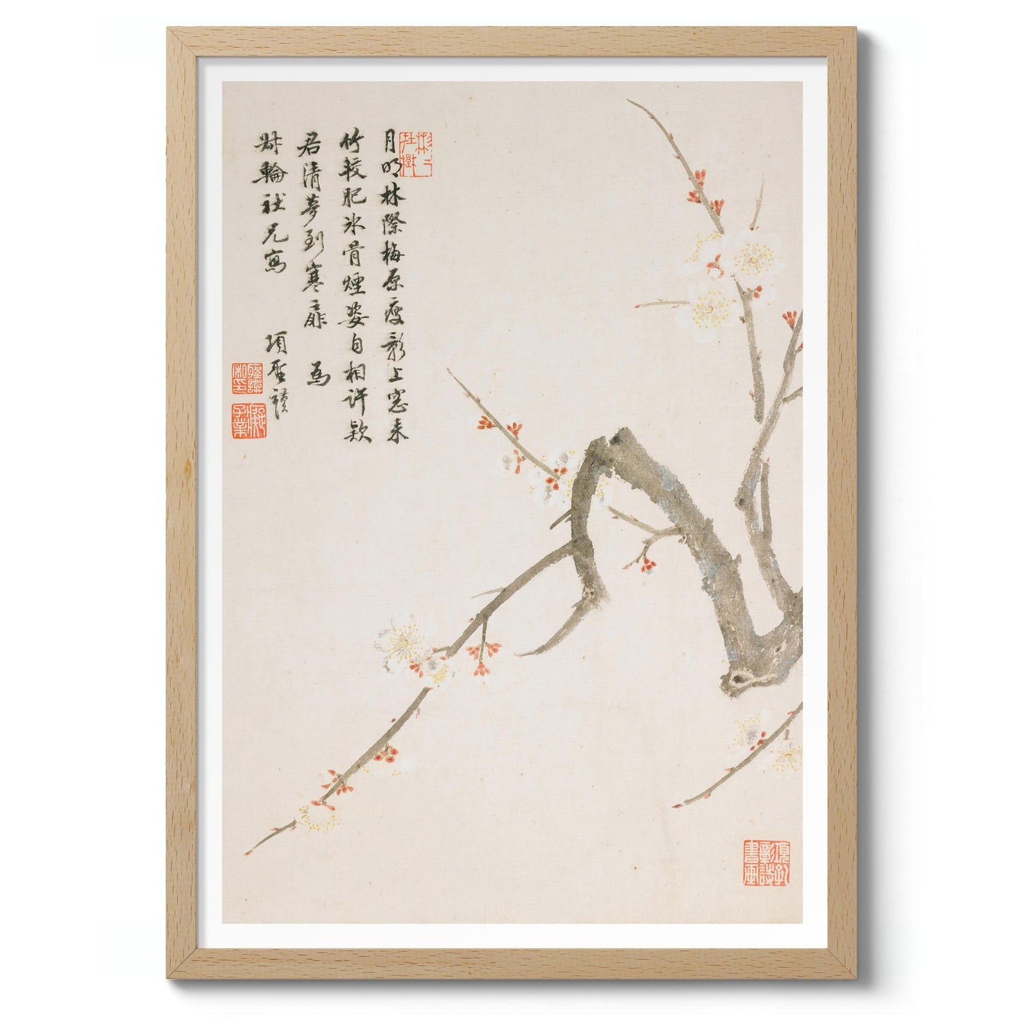 Blommande plommonblomma