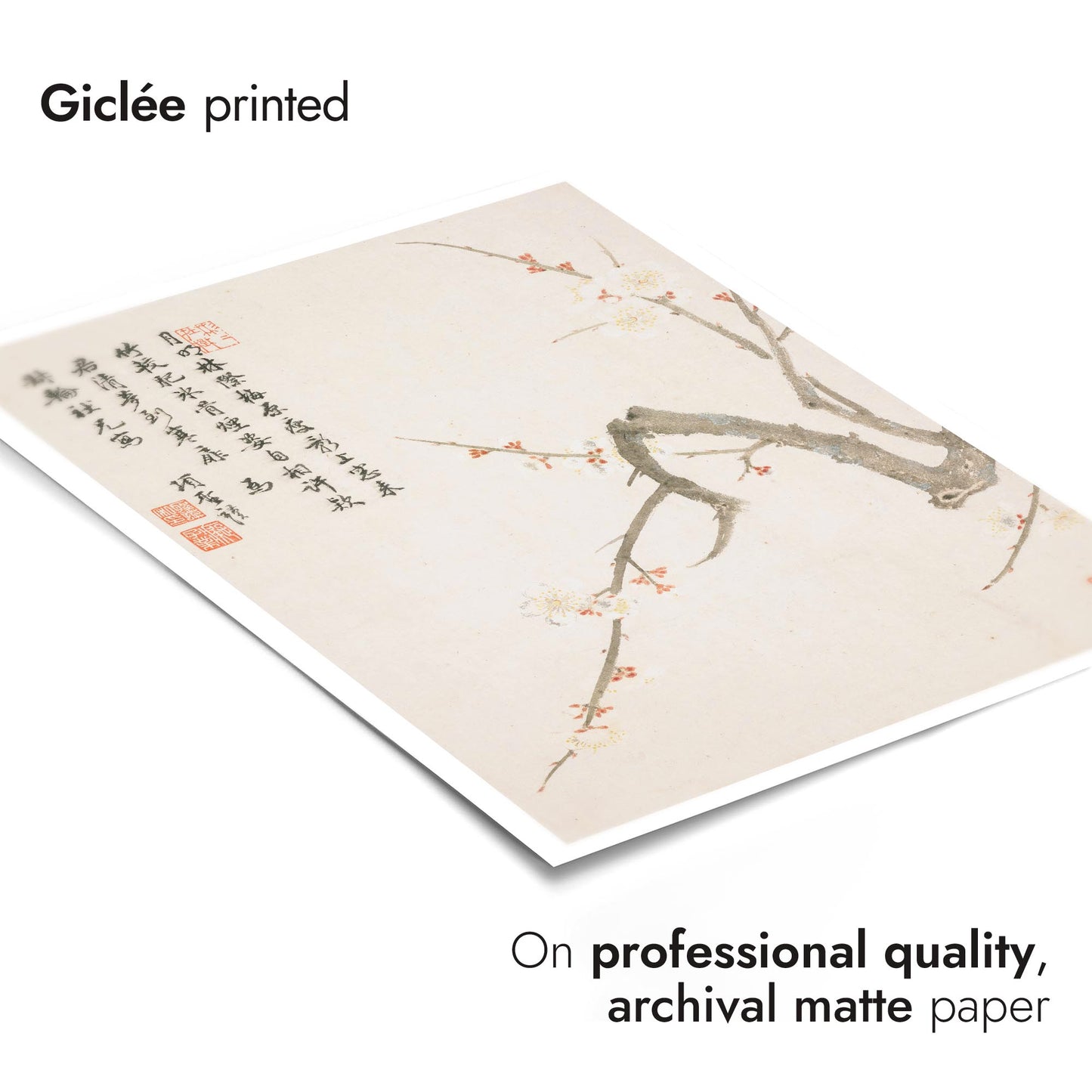 Blommande plommonblomma