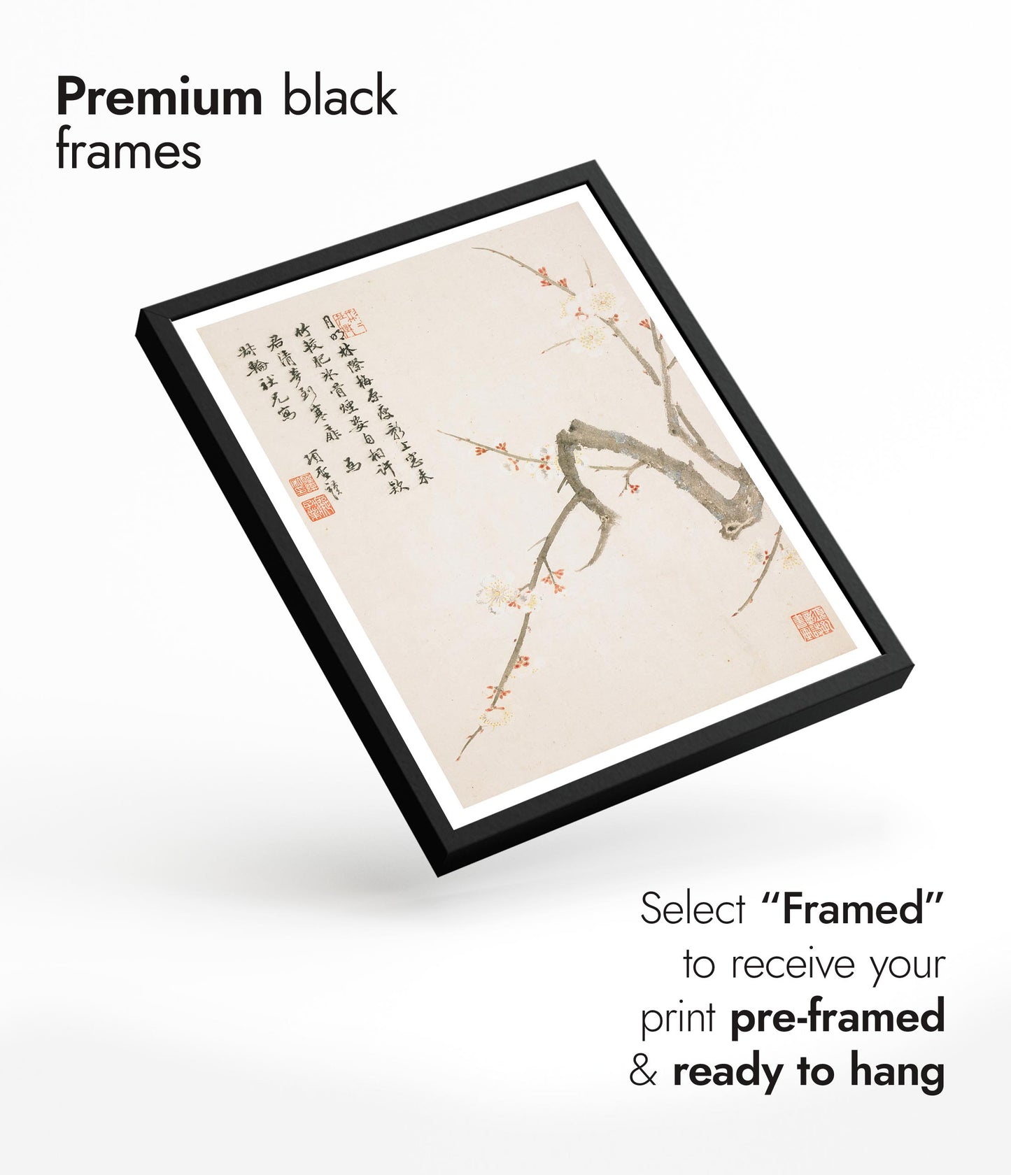 Blommande plommonblomma