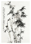 Chinese Bamboo print