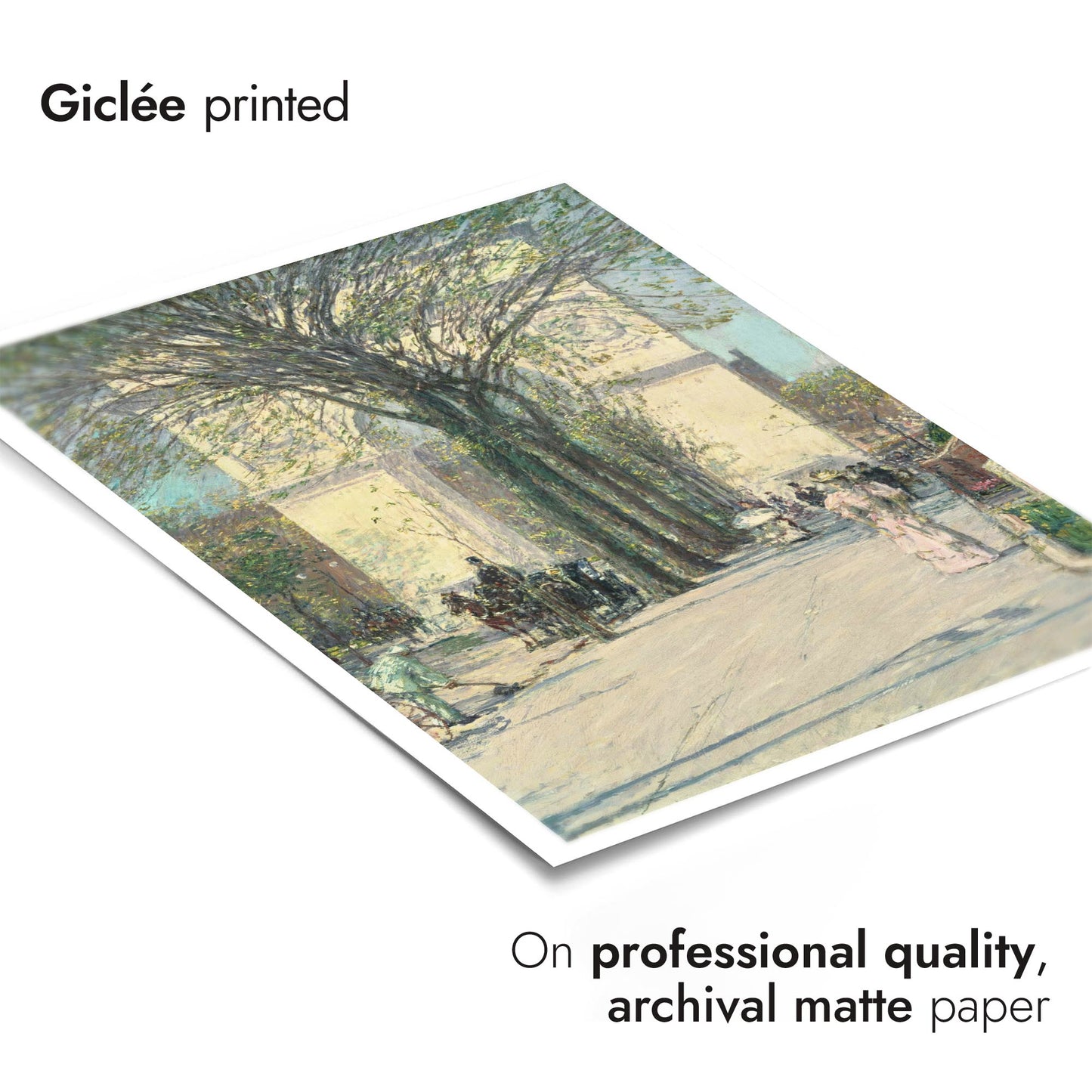 Arc de Washington, printemps