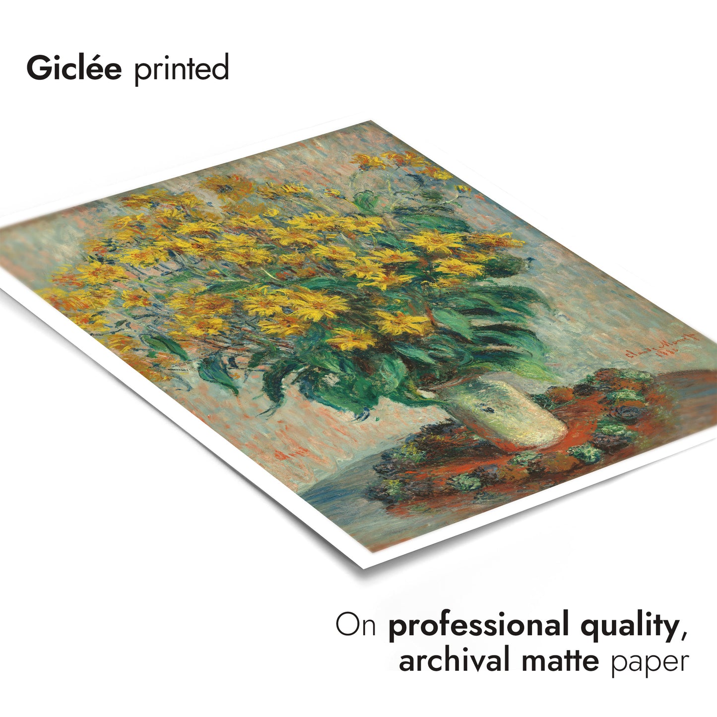 Jordärtskockablommor