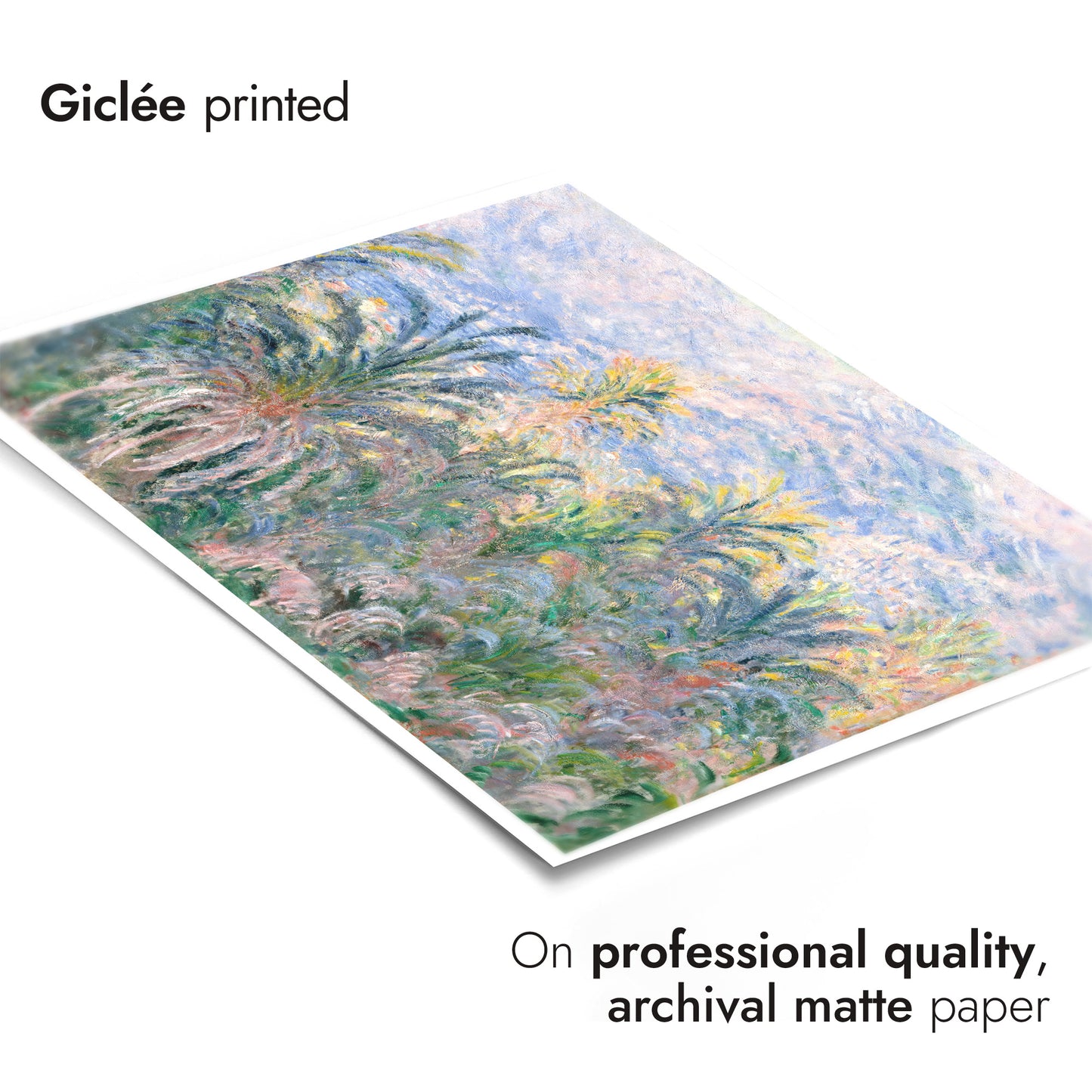 Palmen in Bordighera