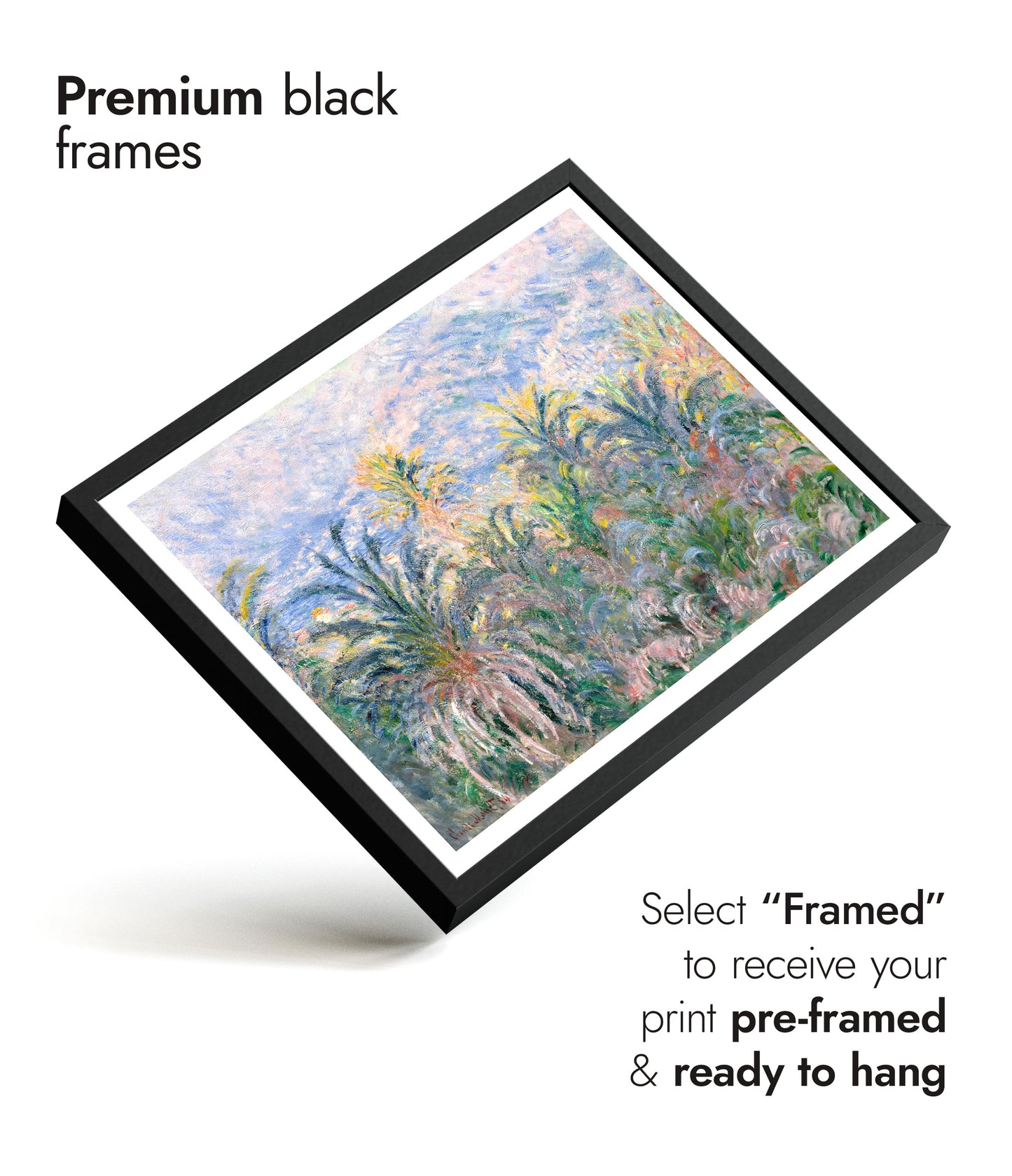 Palmen in Bordighera