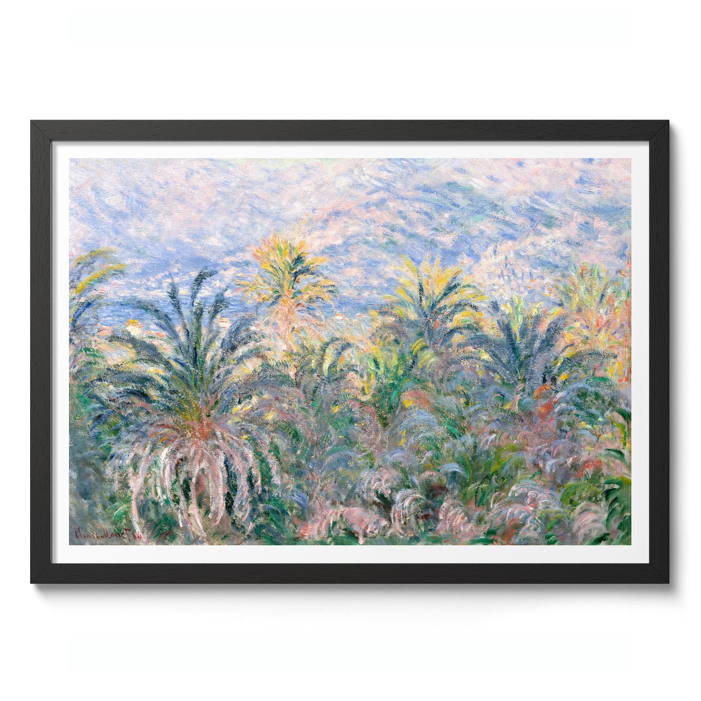 Palmen in Bordighera