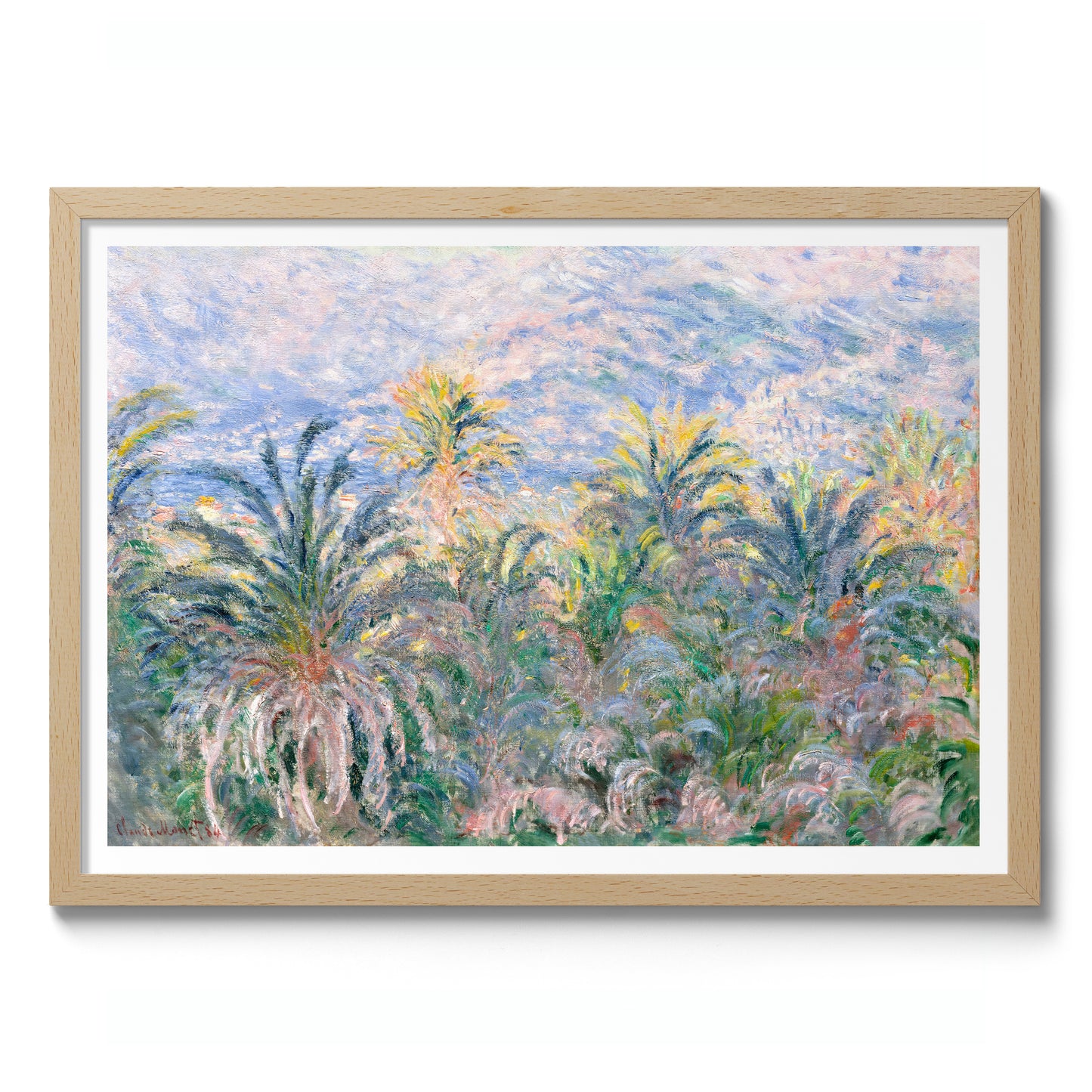 Palmen in Bordighera