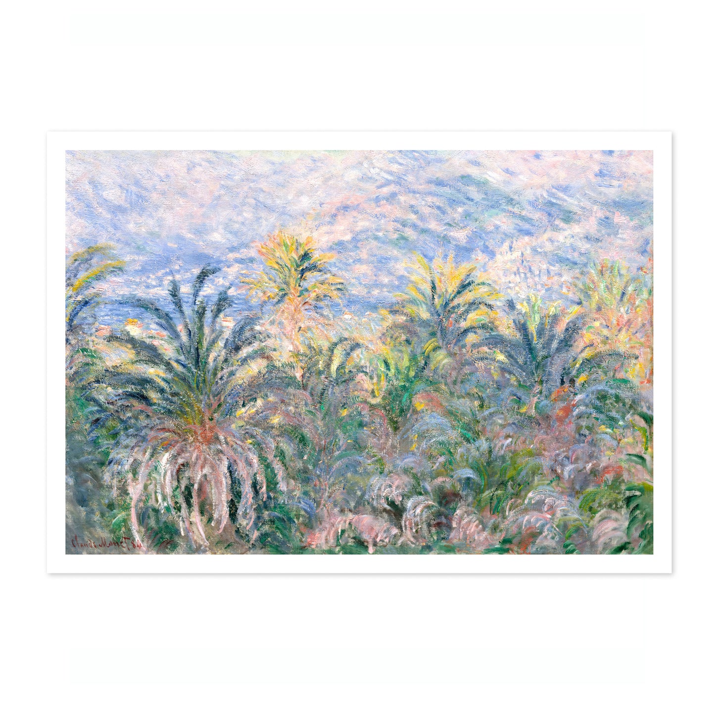 Palmen in Bordighera