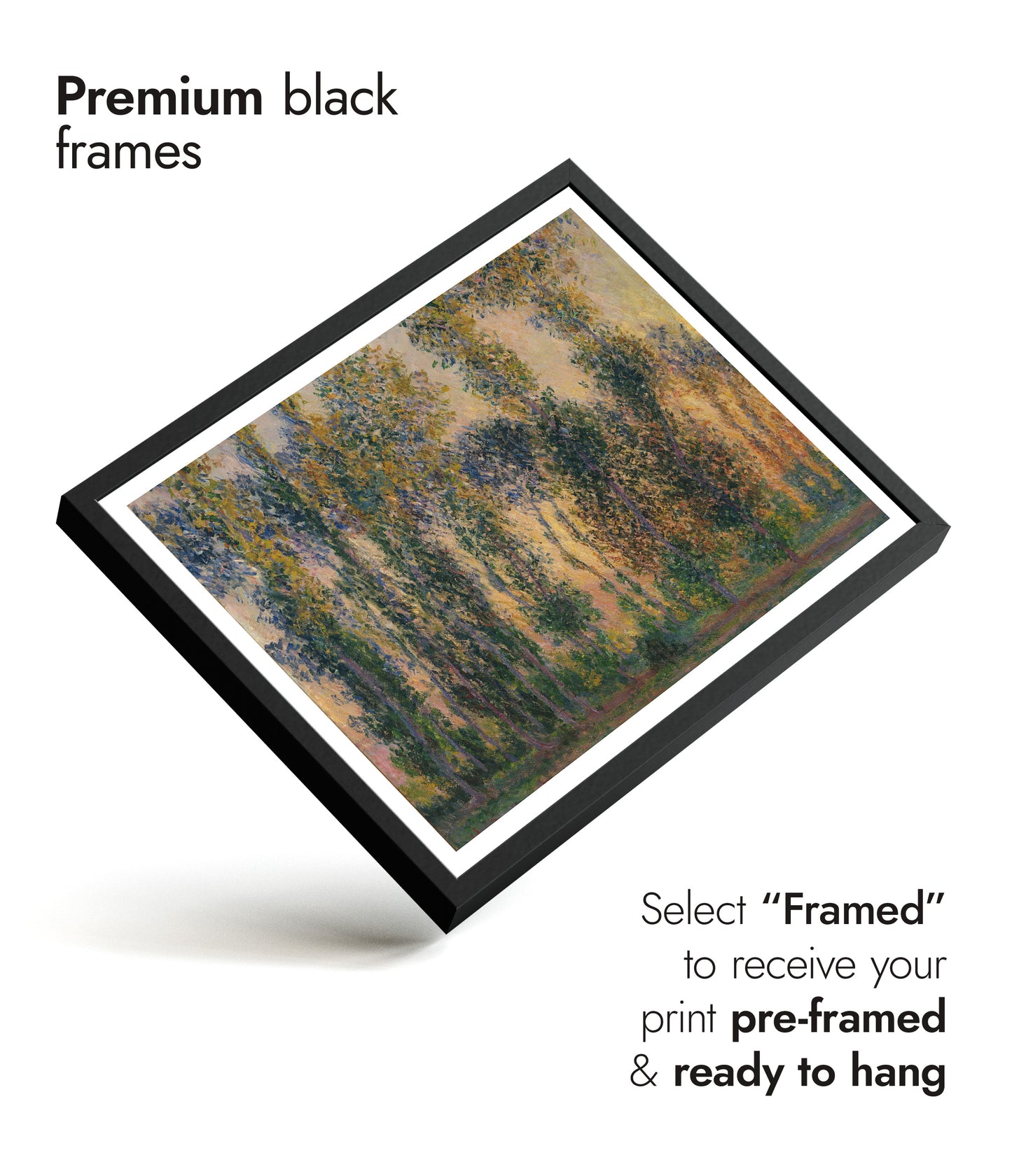 Pappeln in Giverny, Sonnenaufgang