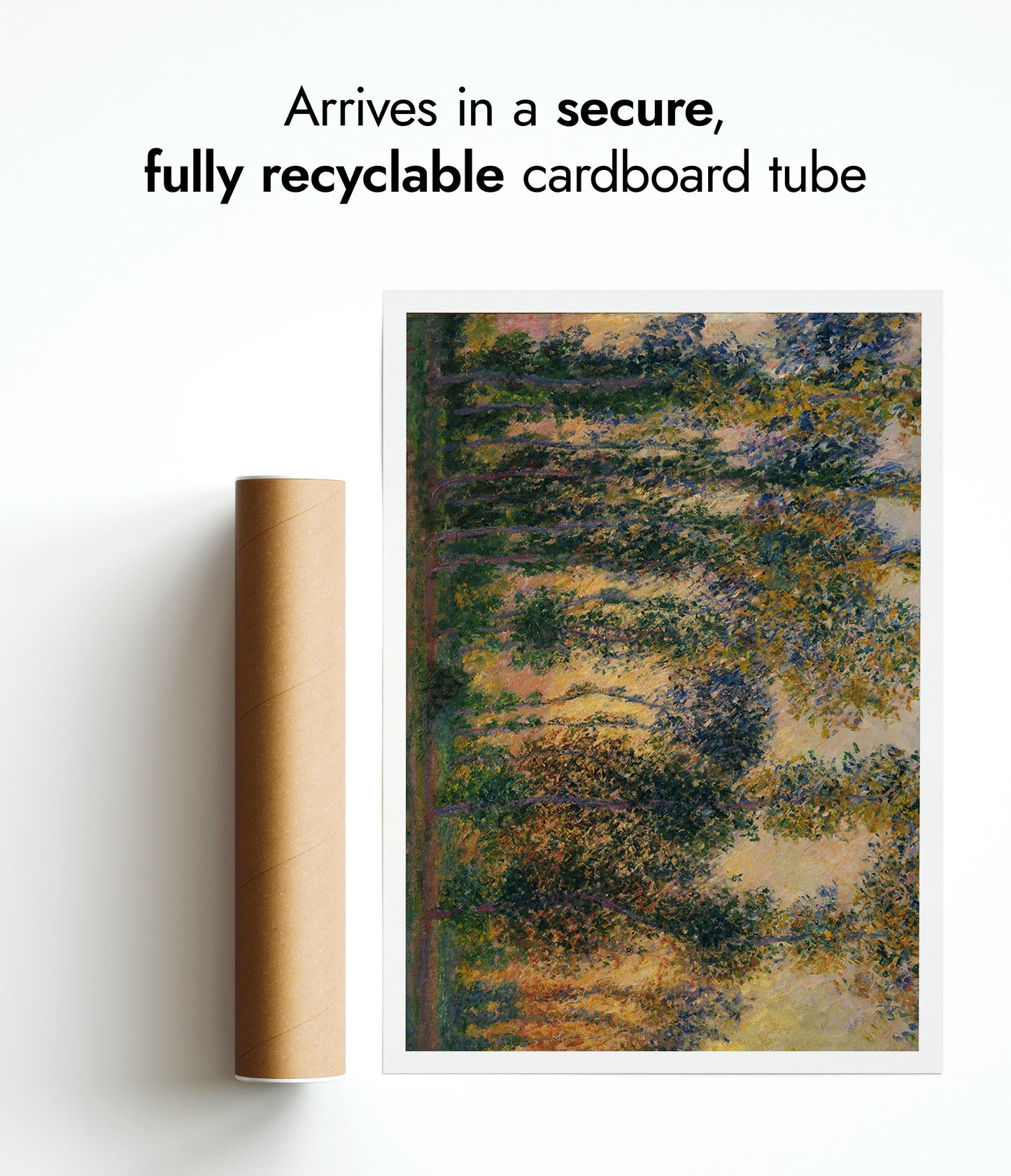 Pappeln in Giverny, Sonnenaufgang