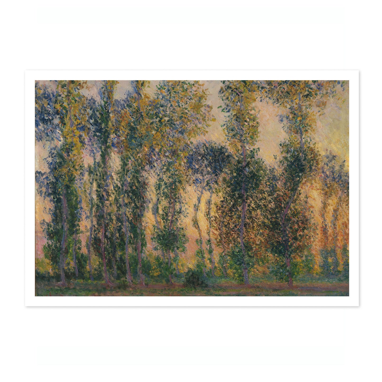 Pappeln in Giverny, Sonnenaufgang