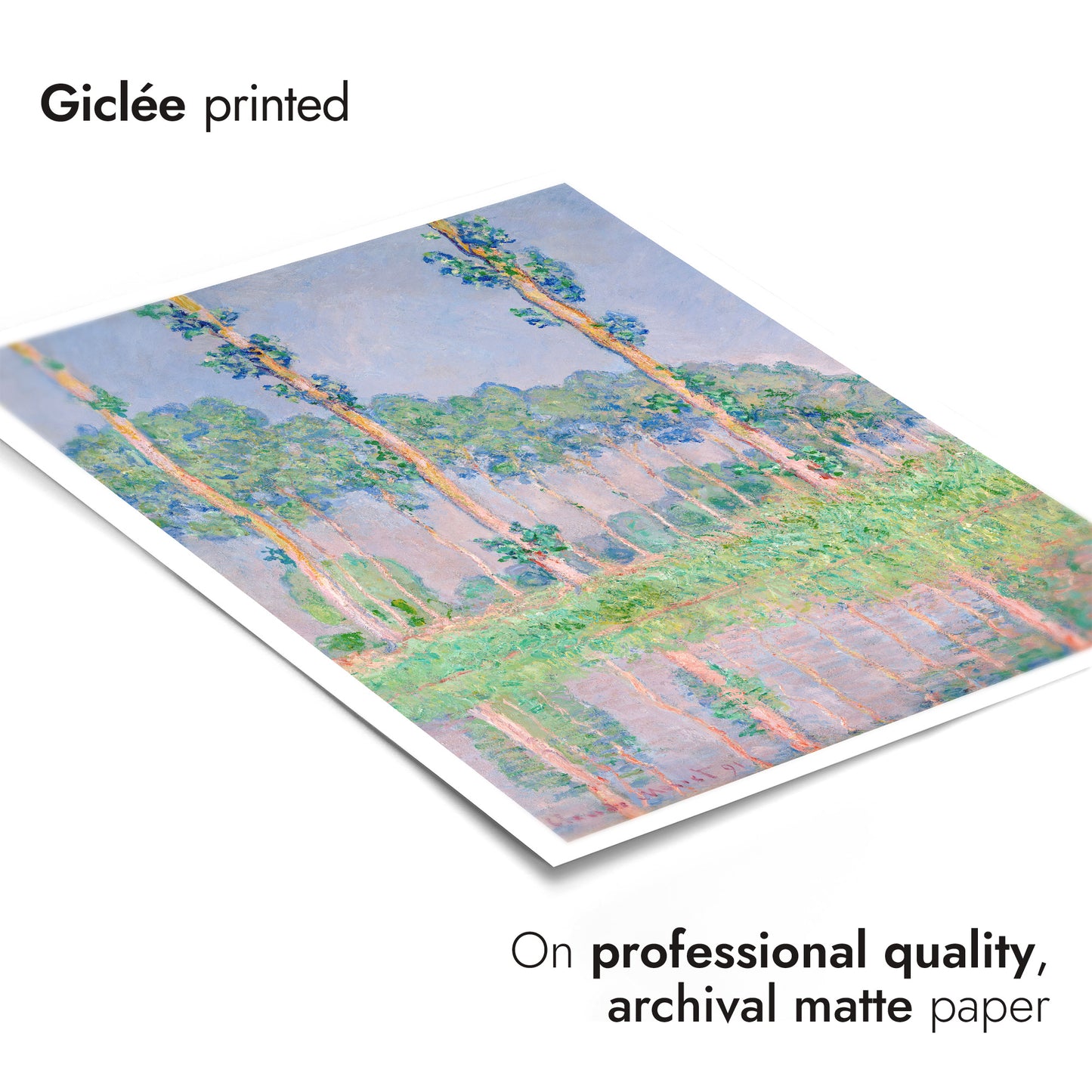 Pappeln, Pink Effekt