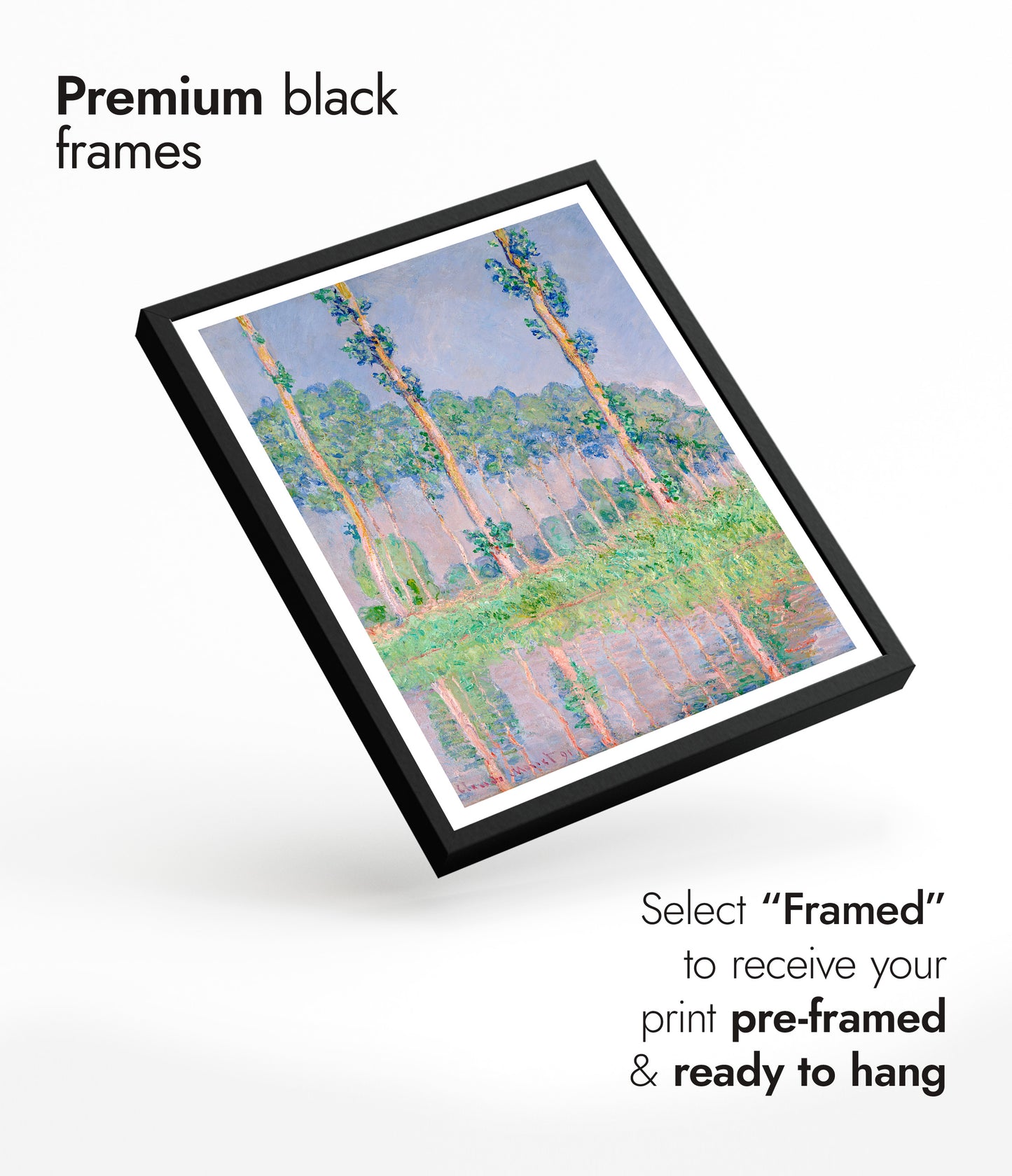 Pappeln, Pink Effekt