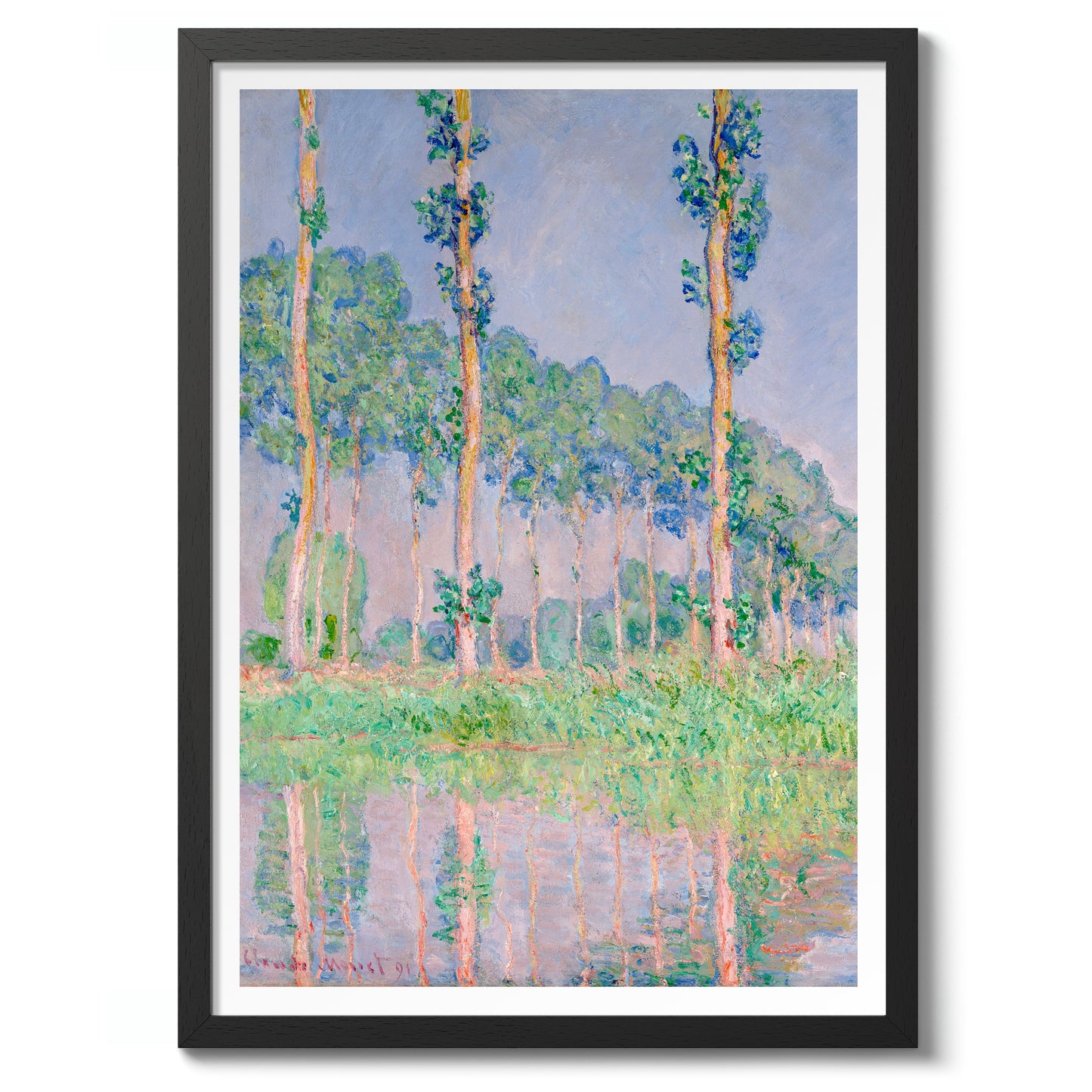 Pappeln, Pink Effekt