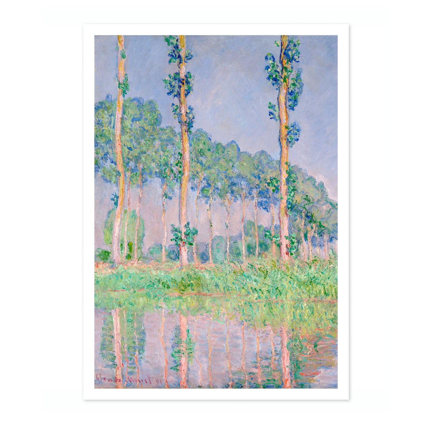 Pappeln, Pink Effekt