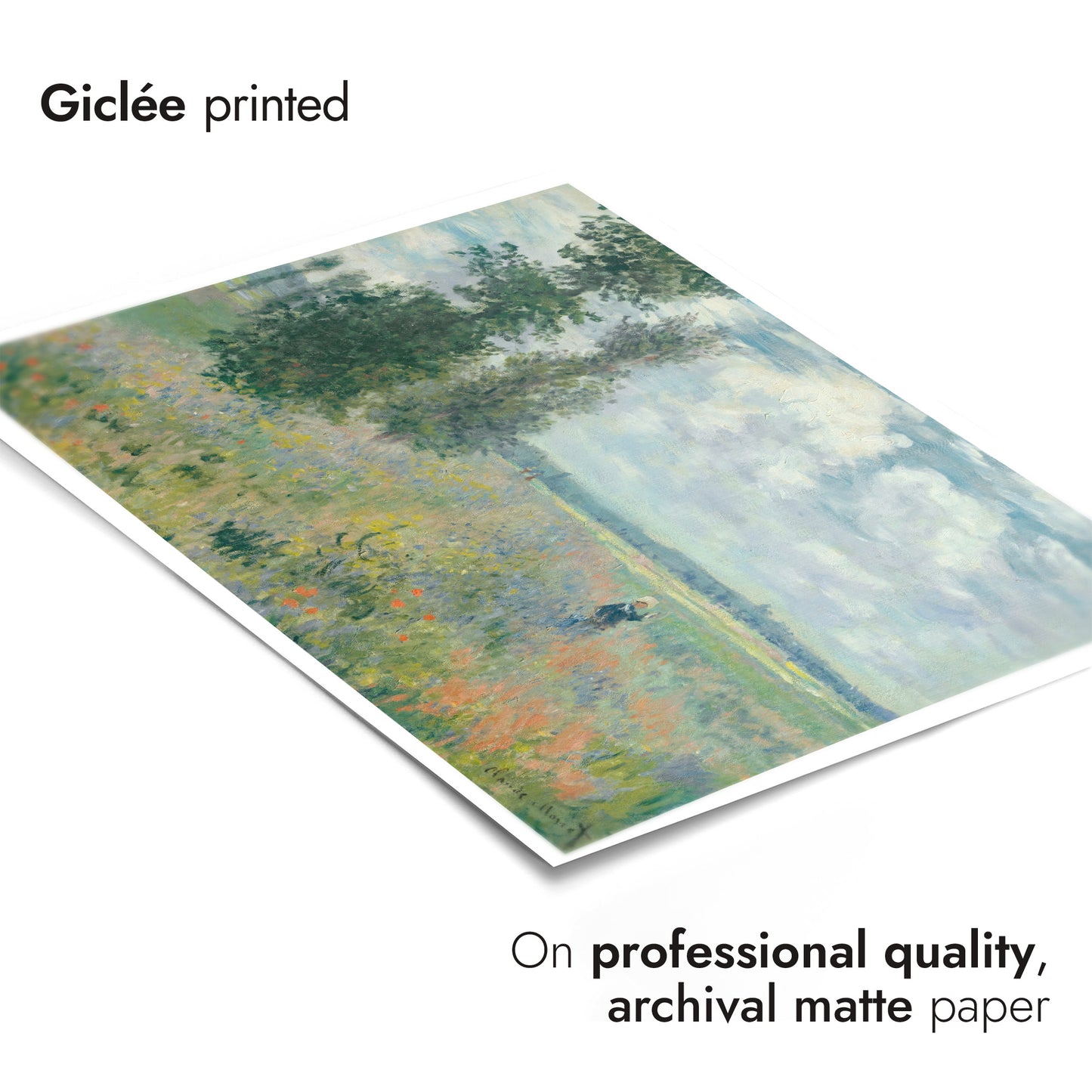 Poppy Fields near Argenteuil