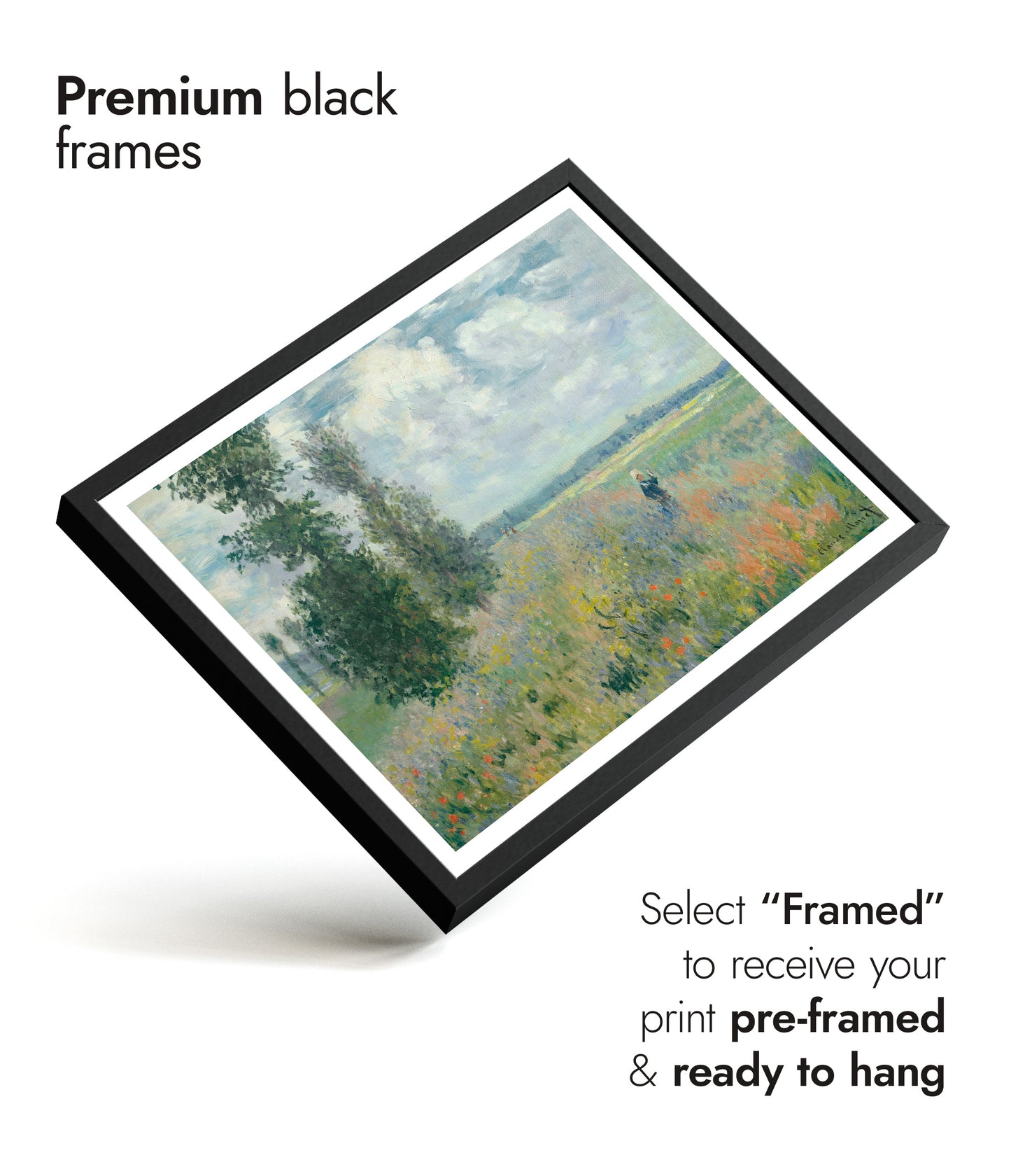 Poppy Fields near Argenteuil