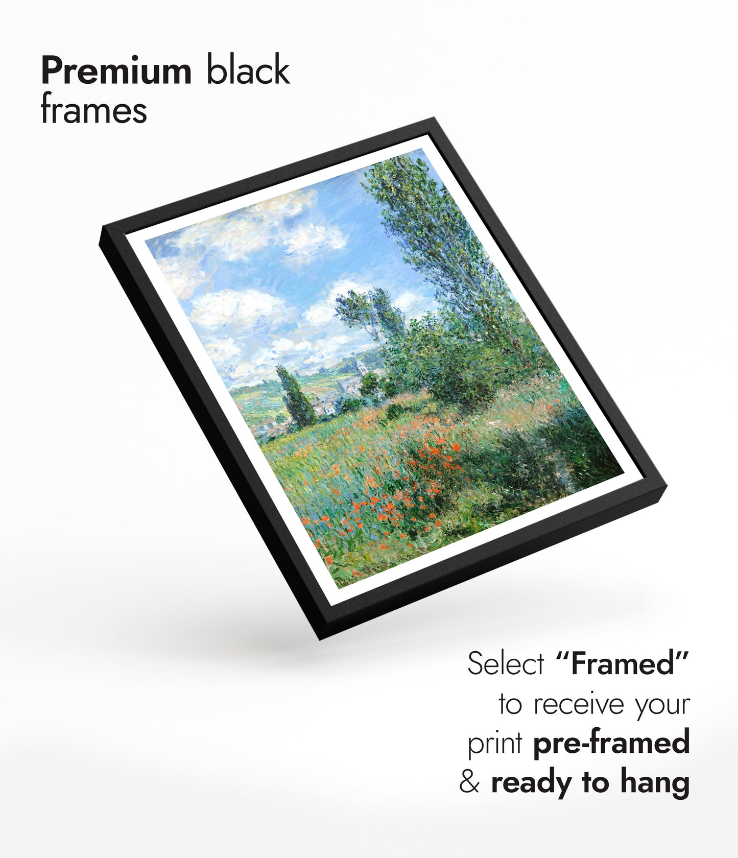 Utsikt över Vétheuil