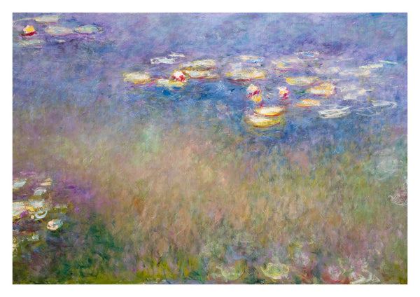 Water Lilies