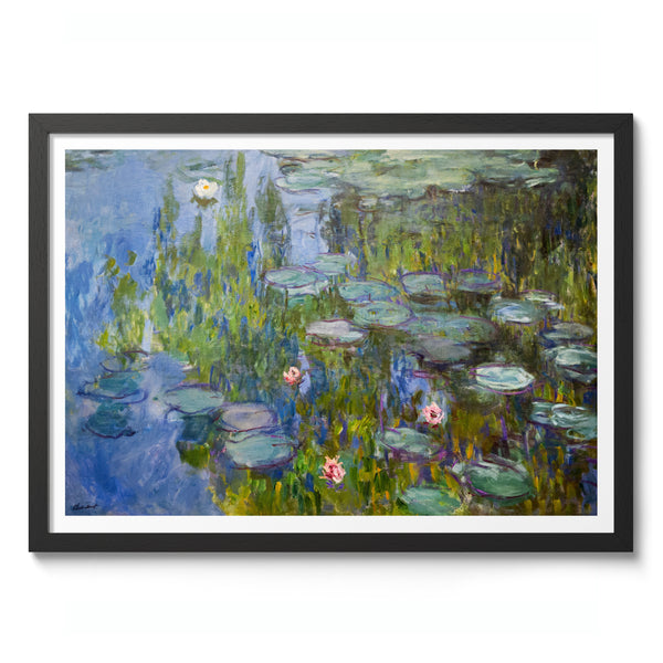 Water Lilies