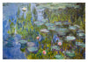 Water Lilies print
