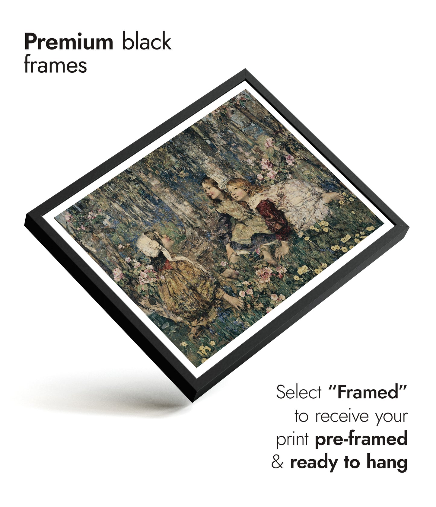 Die Musik des Waldes