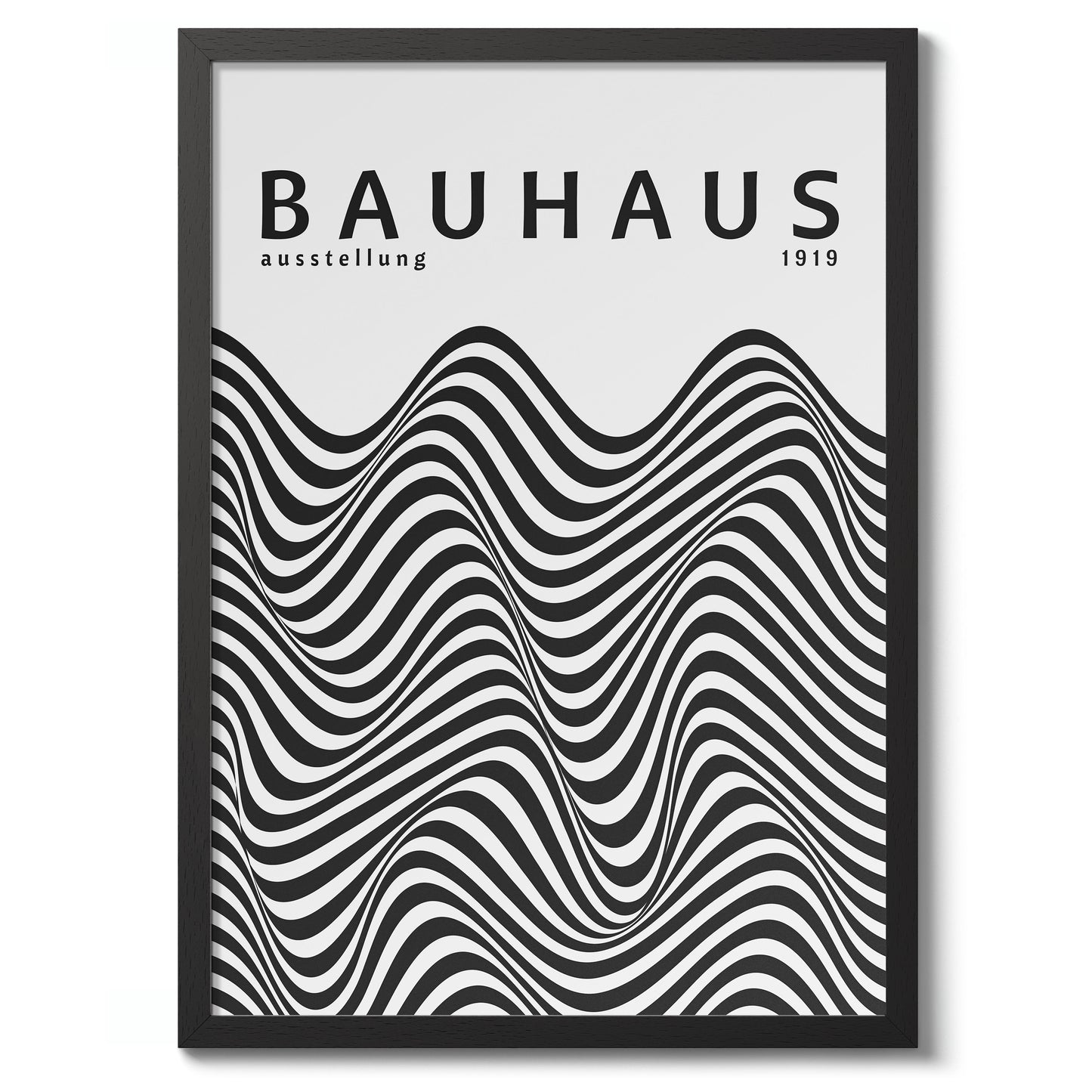 Black & White Zebra Stripes