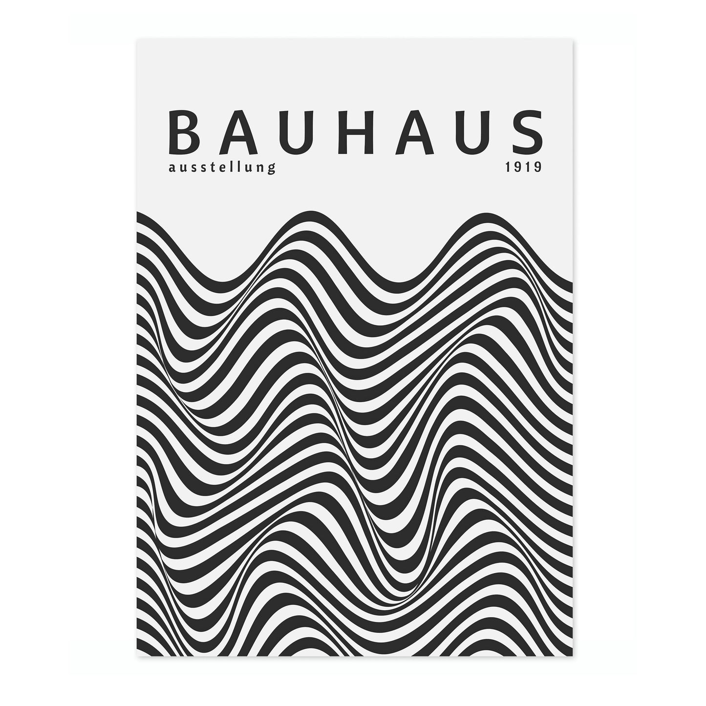 Black & White Zebra Stripes