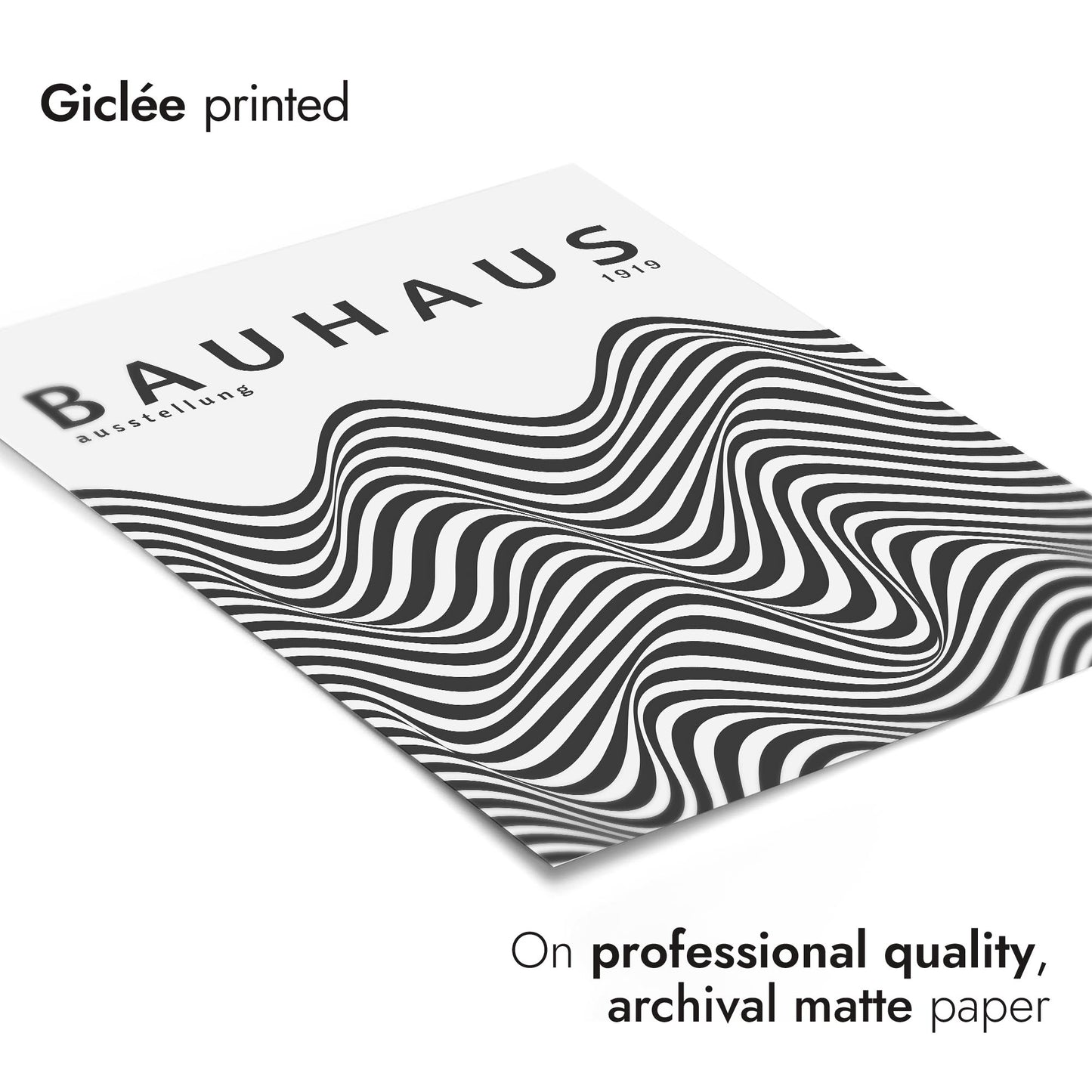 Black & White Zebra Stripes